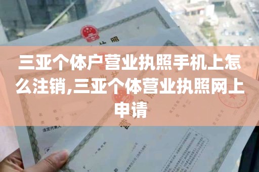 三亚个体户营业执照手机上怎么注销,三亚个体营业执照网上申请