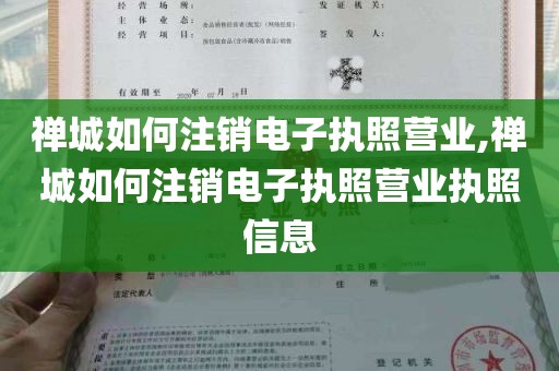 禅城如何注销电子执照营业,禅城如何注销电子执照营业执照信息