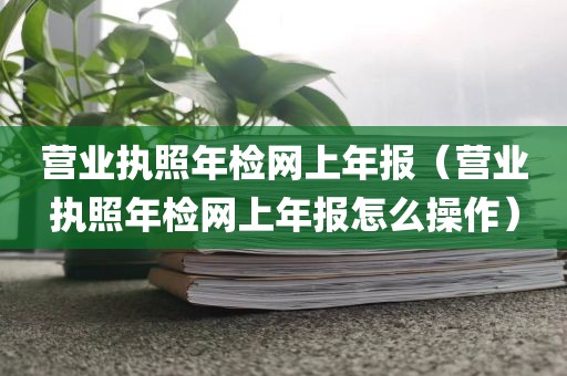 营业执照年检网上年报（营业执照年检网上年报怎么操作）