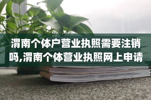 渭南个体户营业执照需要注销吗,渭南个体营业执照网上申请