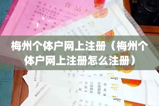 梅州个体户网上注册（梅州个体户网上注册怎么注册）