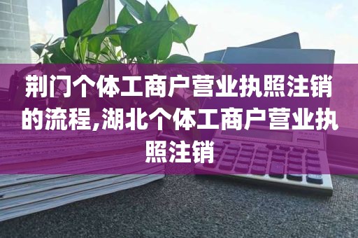 荆门个体工商户营业执照注销的流程,湖北个体工商户营业执照注销