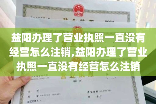 益阳办理了营业执照一直没有经营怎么注销,益阳办理了营业执照一直没有经营怎么注销