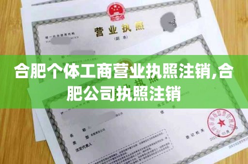 合肥个体工商营业执照注销,合肥公司执照注销