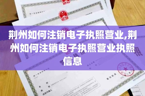 荆州如何注销电子执照营业,荆州如何注销电子执照营业执照信息