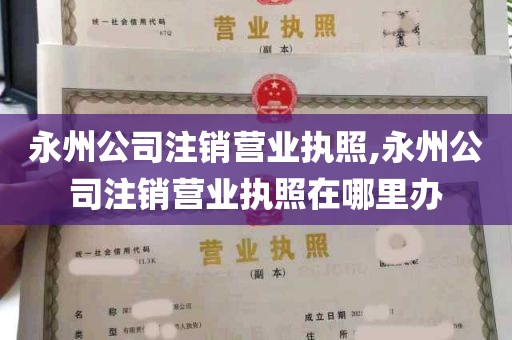 永州公司注销营业执照,永州公司注销营业执照在哪里办