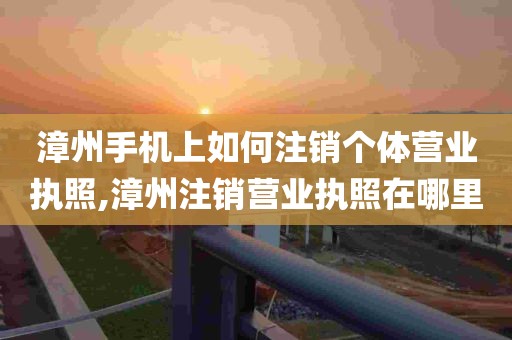 漳州手机上如何注销个体营业执照,漳州注销营业执照在哪里