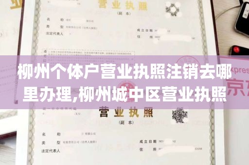 柳州个体户营业执照注销去哪里办理,柳州城中区营业执照