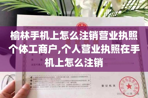 榆林手机上怎么注销营业执照个体工商户,个人营业执照在手机上怎么注销