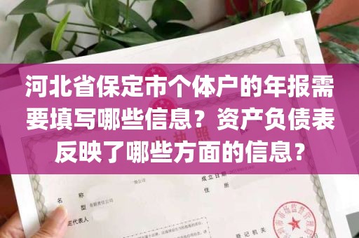 河北省保定市个体户的年报需要填写哪些信息？资产负债表反映了哪些方面的信息？