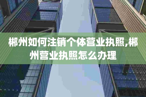 郴州如何注销个体营业执照,郴州营业执照怎么办理