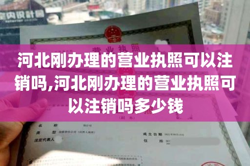 河北刚办理的营业执照可以注销吗,河北刚办理的营业执照可以注销吗多少钱