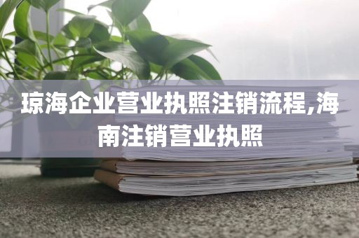 琼海企业营业执照注销流程,海南注销营业执照