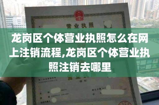 龙岗区个体营业执照怎么在网上注销流程,龙岗区个体营业执照注销去哪里