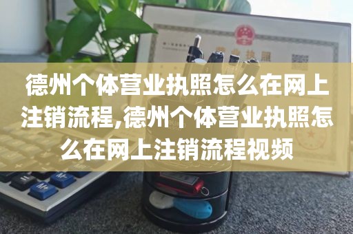 德州个体营业执照怎么在网上注销流程,德州个体营业执照怎么在网上注销流程视频