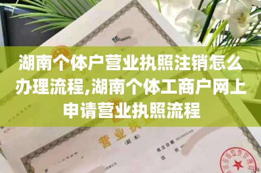 湖南个体户营业执照注销怎么办理流程,湖南个体工商户网上申请营业执照流程