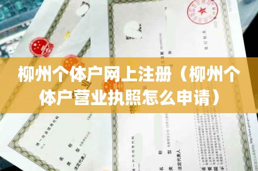 柳州个体户网上注册（柳州个体户营业执照怎么申请）