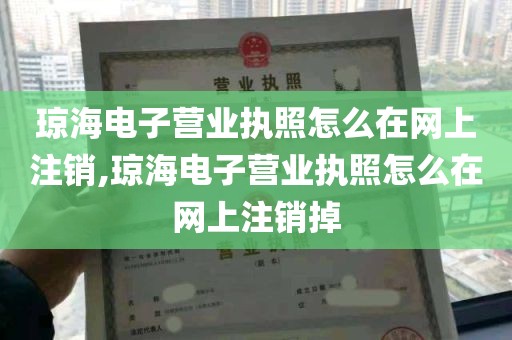 琼海电子营业执照怎么在网上注销,琼海电子营业执照怎么在网上注销掉