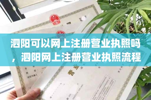 泗阳可以网上注册营业执照吗，泗阳网上注册营业执照流程