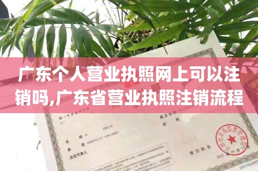 广东个人营业执照网上可以注销吗,广东省营业执照注销流程