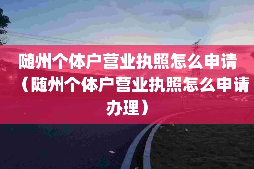 随州个体户营业执照怎么申请（随州个体户营业执照怎么申请办理）