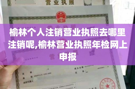 榆林个人注销营业执照去哪里注销呢,榆林营业执照年检网上申报