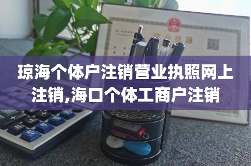 琼海个体户注销营业执照网上注销,海口个体工商户注销