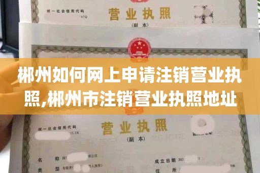 郴州如何网上申请注销营业执照,郴州市注销营业执照地址