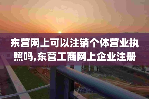 东营网上可以注销个体营业执照吗,东营工商网上企业注册