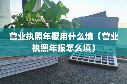 营业执照年报用什么填（营业执照年报怎么填）