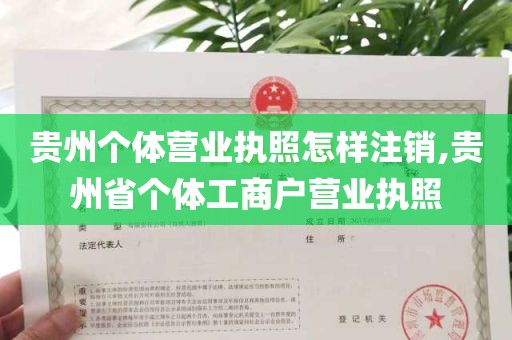 贵州个体营业执照怎样注销,贵州省个体工商户营业执照