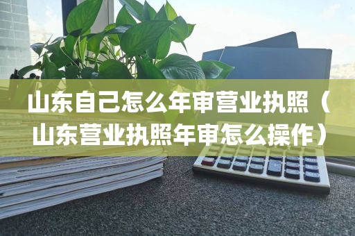 山东自己怎么年审营业执照（山东营业执照年审怎么操作）