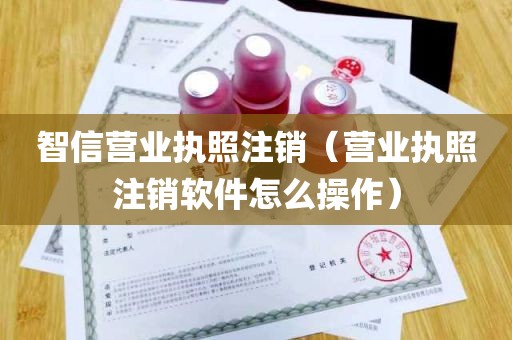 智信营业执照注销（营业执照注销软件怎么操作）