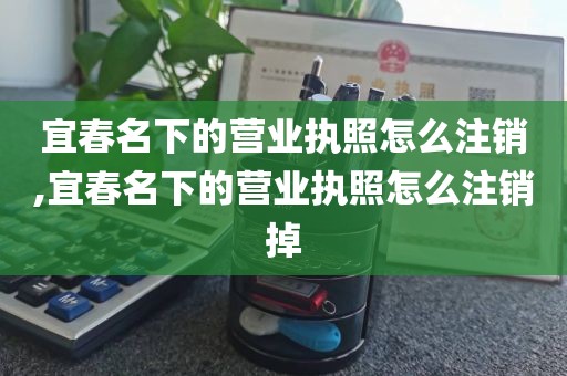 宜春名下的营业执照怎么注销,宜春名下的营业执照怎么注销掉