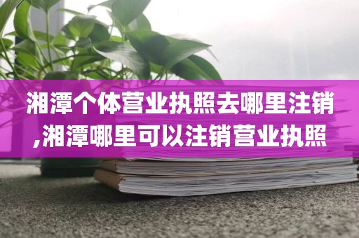 湘潭个体营业执照去哪里注销,湘潭哪里可以注销营业执照