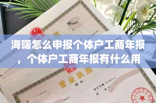 海曙怎么申报个体户工商年报，个体户工商年报有什么用