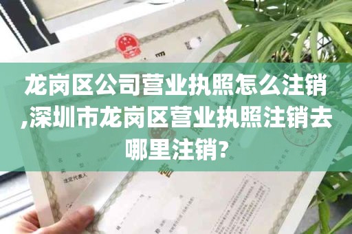 龙岗区公司营业执照怎么注销,深圳市龙岗区营业执照注销去哪里注销?