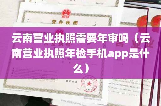 云南营业执照需要年审吗（云南营业执照年检手机app是什么）