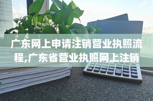 广东网上申请注销营业执照流程,广东省营业执照网上注销