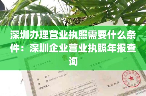 深圳办理营业执照需要什么条件：深圳企业营业执照年报查询