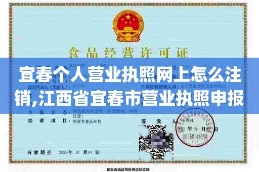 宜春个人营业执照网上怎么注销,江西省宜春市营业执照申报
