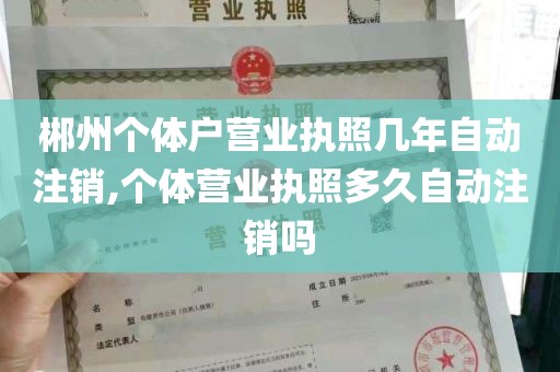 郴州个体户营业执照几年自动注销,个体营业执照多久自动注销吗