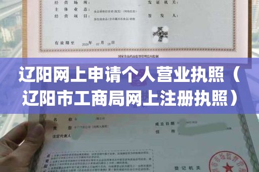 辽阳网上申请个人营业执照（辽阳市工商局网上注册执照）