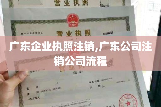 广东企业执照注销,广东公司注销公司流程