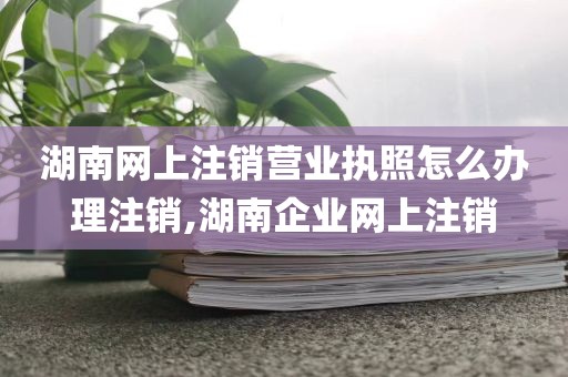 湖南网上注销营业执照怎么办理注销,湖南企业网上注销