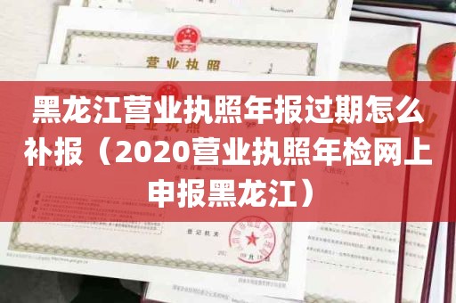 黑龙江营业执照年报过期怎么补报（2020营业执照年检网上申报黑龙江）