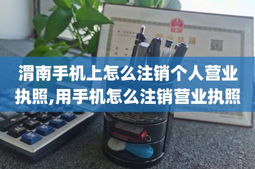 渭南手机上怎么注销个人营业执照,用手机怎么注销营业执照