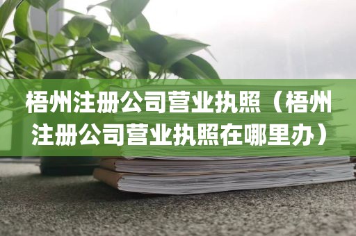 梧州注册公司营业执照（梧州注册公司营业执照在哪里办）