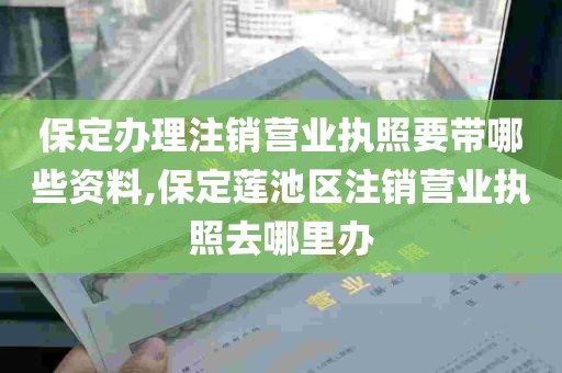 保定办理注销营业执照要带哪些资料,保定莲池区注销营业执照去哪里办