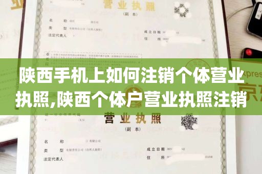 陕西手机上如何注销个体营业执照,陕西个体户营业执照注销